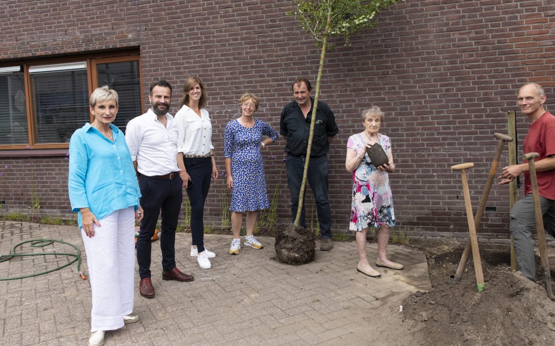 Wat als de boom zijn verhaal zou vertellen?