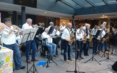 Live bij de Begonia’s